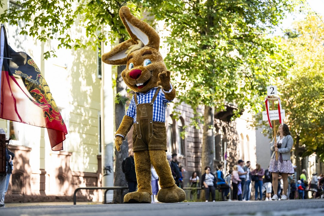 Maskottchen "Wasi" läuft beim Volksfest-Umzug durch Bad Cannstatt und winkt den Menschen am Straßenrand.