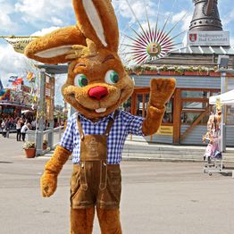Wasenhasi