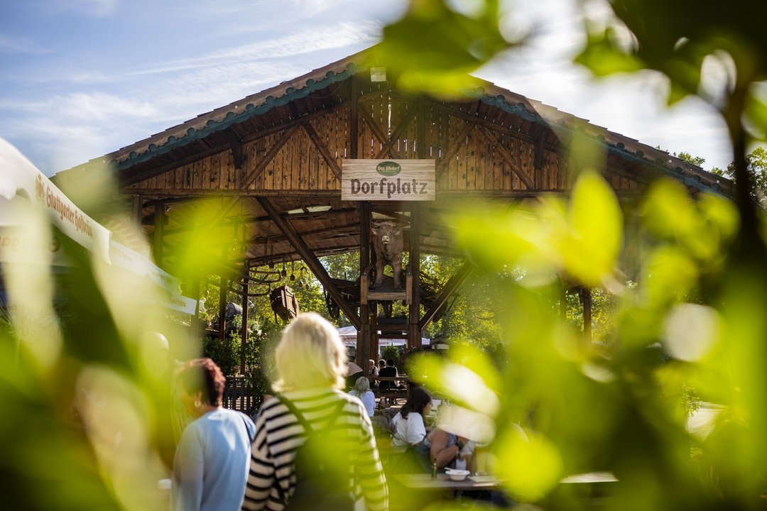 Blick durch ein paar Blätter auf eine der Holzhütten des Albdorfs.